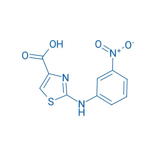 2-((3-Nitrophenyl)amino)thiazole-4-carboxylic acid 1g
