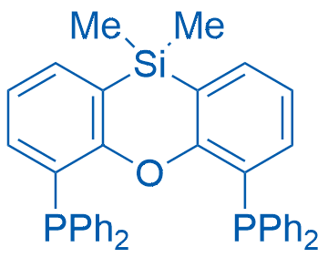 (10,10-Dimethyl-10H-dibenzo[b,e][1,4]oxasiline-4,6-diyl)bis(diphenylphosphine) 1g