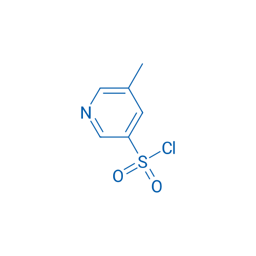 5-Methyl-3-pyridinesulfonyl chloride 250mg