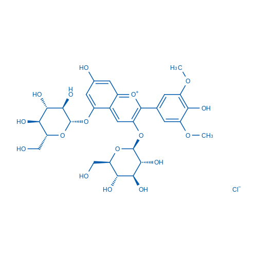 Malvidin-3,5-O-diglucoside chloride 10mg