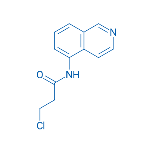 3-Chloro-N-(isoquinolin-5-yl)propanamide 1g