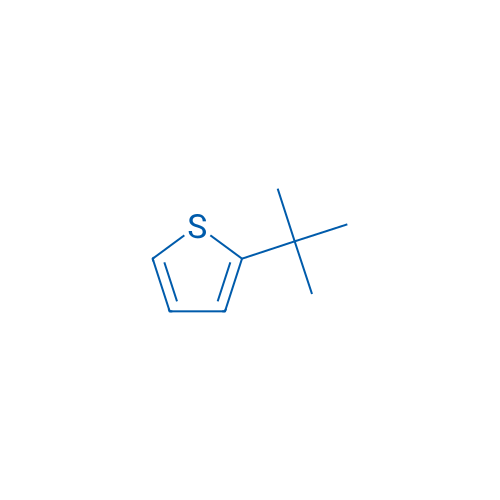 2-(tert-Butyl)thiophene 100mg