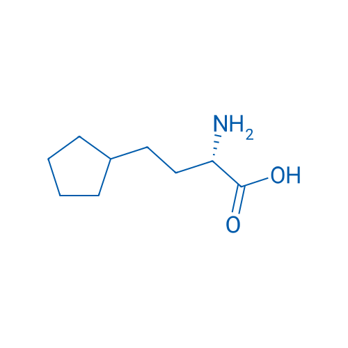 (S)-2-Amino-4-cyclopentylbutanoic acid 100mg