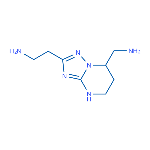 2-[7-(Aminomethyl)-4H,5H,6H,7H-[1,2,4]triazolo[1,5-a]pyrimidin-2-yl]ethan-1-amine 1g