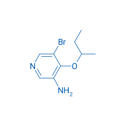 5-Bromo-4-(butan-2-yloxy)pyridin-3-amine 1g