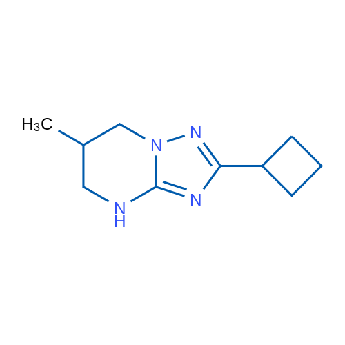 2-Cyclobutyl-6-methyl-4H,5H,6H,7H-[1,2,4]triazolo[1,5-a]pyrimidine 1g