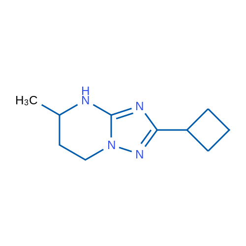 2-Cyclobutyl-5-methyl-4H,5H,6H,7H-[1,2,4]triazolo[1,5-a]pyrimidine 1g