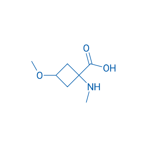 3-Methoxy-1-(methylamino)cyclobutane-1-carboxylic acid 1g