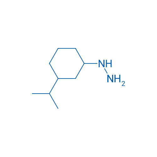 [3-(Propan-2-yl)cyclohexyl]hydrazine 1g