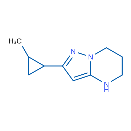 2-(2-Methylcyclopropyl)-4H,5H,6H,7H-pyrazolo[1,5-a]pyrimidine 1g