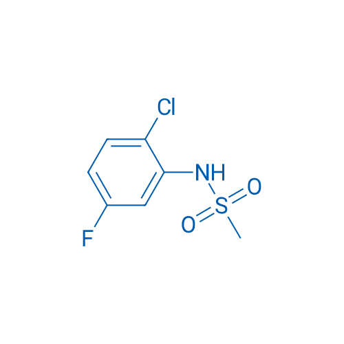 N-(2-Chloro-5-fluorophenyl)methanesulfonamide 1g