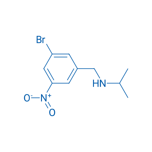 N-(3-Bromo-5-nitrobenzyl)propan-2-amine 1g