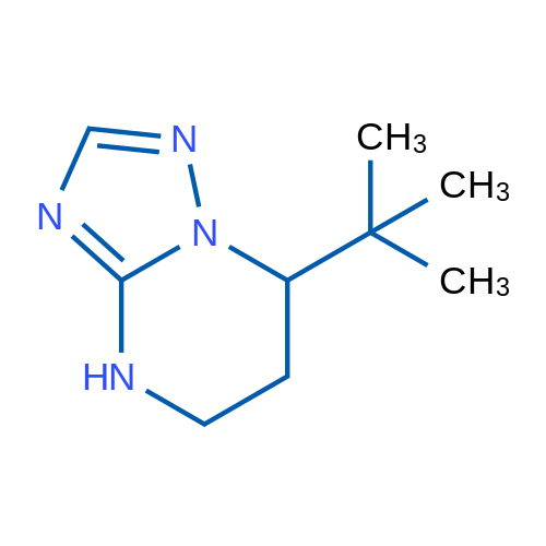 7-tert-Butyl-4H,5H,6H,7H-[1,2,4]triazolo[1,5-a]pyrimidine 1g