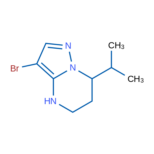 3-Bromo-7-(propan-2-yl)-4H,5H,6H,7H-pyrazolo[1,5-a]pyrimidine 1g