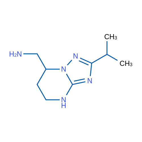 [2-(Propan-2-yl)-4H,5H,6H,7H-[1,2,4]triazolo[1,5-a]pyrimidin-7-yl]methanamine 1g