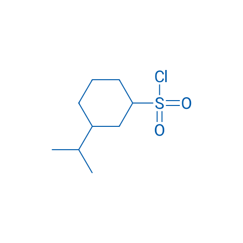 3-(Propan-2-yl)cyclohexane-1-sulfonyl chloride 1g