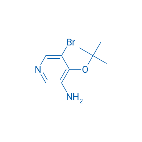 5-Bromo-4-(tert-butoxy)pyridin-3-amine 1g