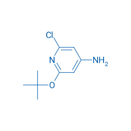 2-(tert-Butoxy)-6-chloropyridin-4-amine 1g