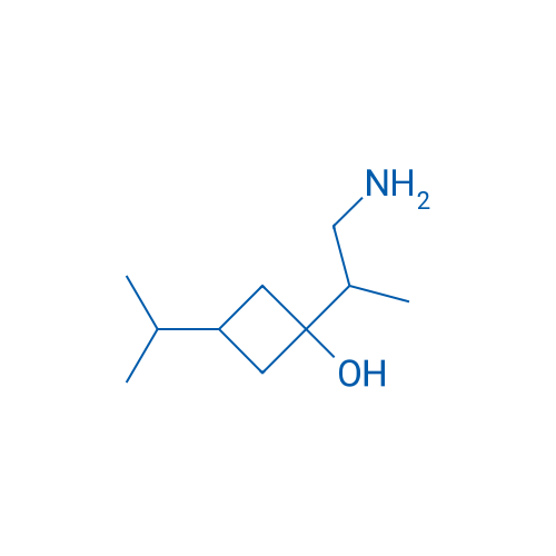 1-(1-Aminopropan-2-yl)-3-(propan-2-yl)cyclobutan-1-ol 1g