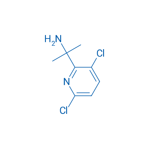 2-(3,6-Dichloropyridin-2-yl)propan-2-amine 1g