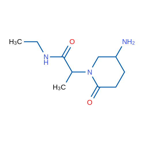 2-(5-Amino-2-oxopiperidin-1-yl)-N-ethylpropanamide 1g