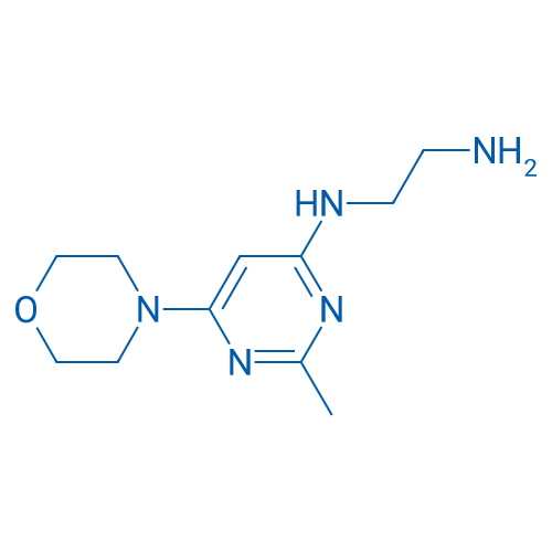 N1-(2-Methyl-6-morpholinopyrimidin-4-yl)ethane-1,2-diamine 1g