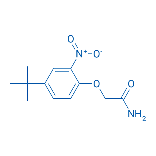 2-(4-(tert-Butyl)-2-nitrophenoxy)acetamide 1g