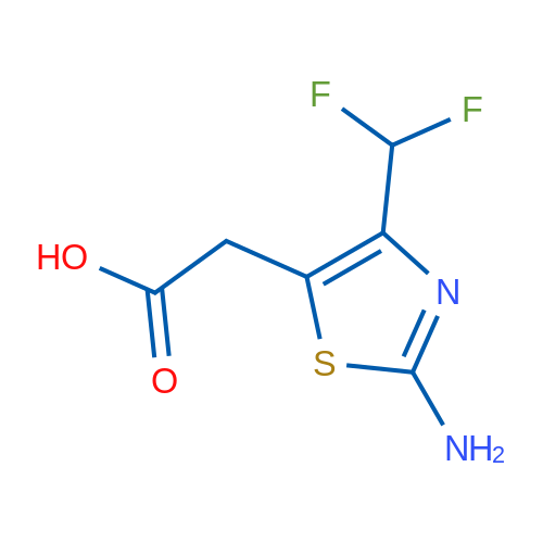 2-(2-Amino-4-(difluoromethyl)thiazol-5-yl)acetic acid 1g
