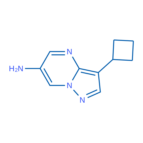 3-Cyclobutylpyrazolo[1,5-a]pyrimidin-6-amine 1g