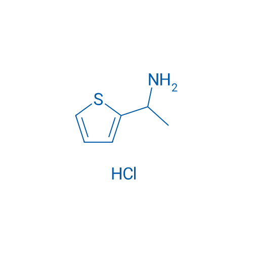 1-(Thiophen-2-yl)ethanamine hydrochloride 1g