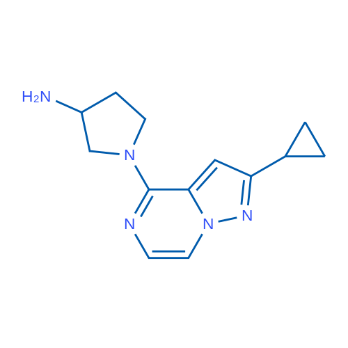 1-(2-Cyclopropylpyrazolo[1,5-a]pyrazin-4-yl)pyrrolidin-3-amine 1g
