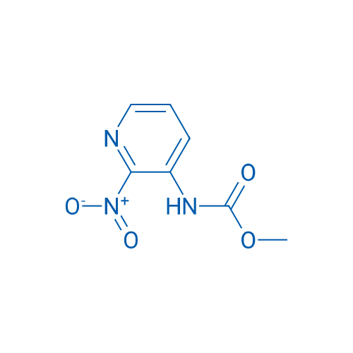 Methyl (2-nitropyridin-3-yl)carbamate 1g