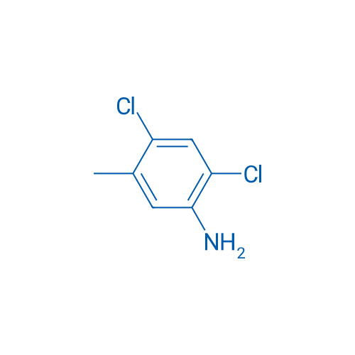 2,4-Dichloro-5-methylaniline 25g