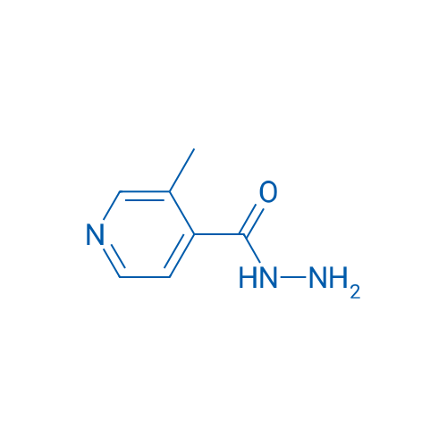 3-Methylisonicotinohydrazide 1g