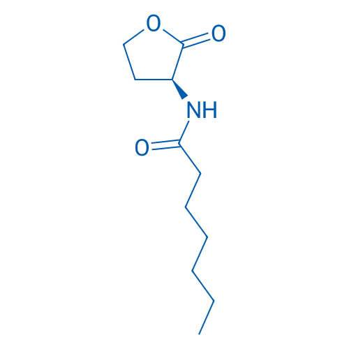 N-Heptanoyl-L-homoserine lactone 250mg