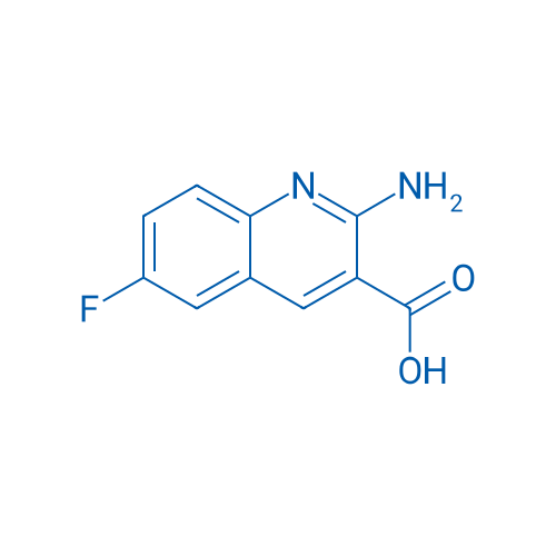 2-Amino-6-fluoroquinoline-3-carboxylic acid 1g