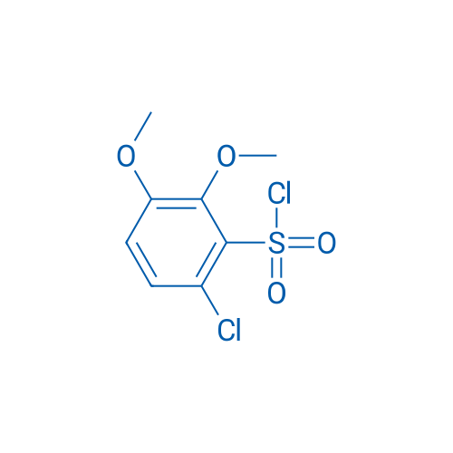 6-Chloro-2,3-dimethoxybenzene-1-sulfonyl chloride 1g