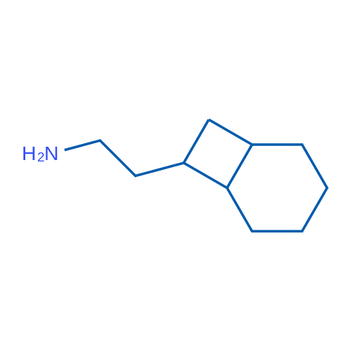 2-{bicyclo[4.2.0]octan-7-yl}ethan-1-amine 1g