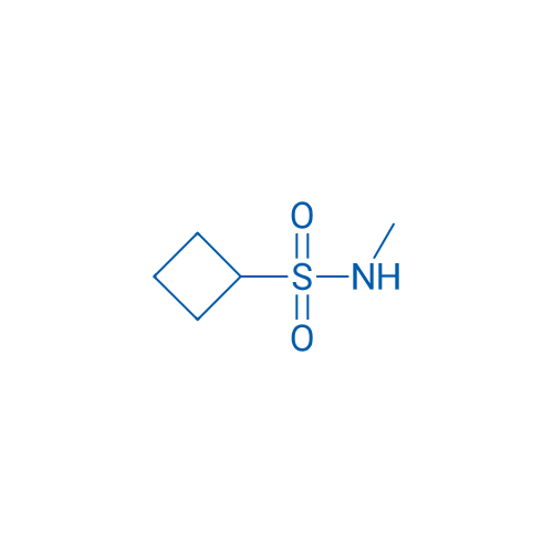 N-Methylcyclobutanesulfonamide 1g