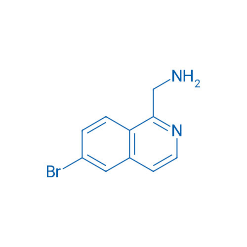 (6-Bromoisoquinolin-1-yl)methanamine 1g