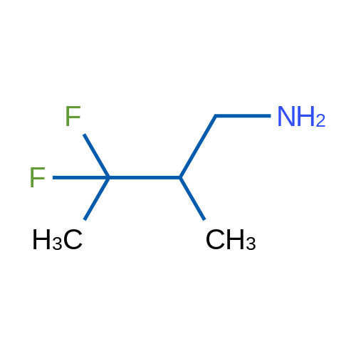 3,3-Difluoro-2-methylbutan-1-amine 1g