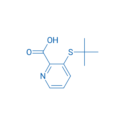 3-(tert-Butylthio)picolinic acid 1g