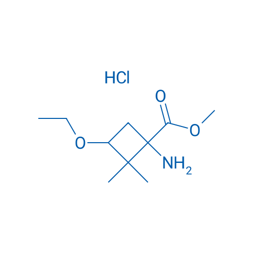 Methyl 1-amino-3-ethoxy-2,2-dimethylcyclobutane-1-carboxylate hydrochloride 1g