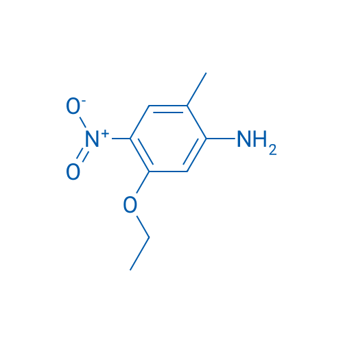 5-Ethoxy-2-methyl-4-nitroaniline 1g