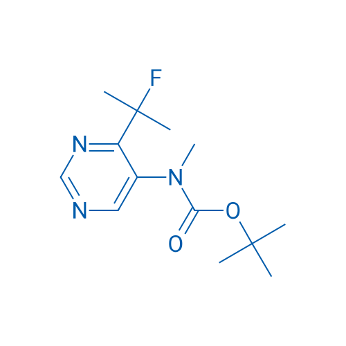 tert-Butyl (4-(2-fluoropropan-2-yl)pyrimidin-5-yl)(methyl)carbamate 1g