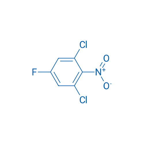 1,3-Dichloro-5-fluoro-2-nitrobenzene 1g