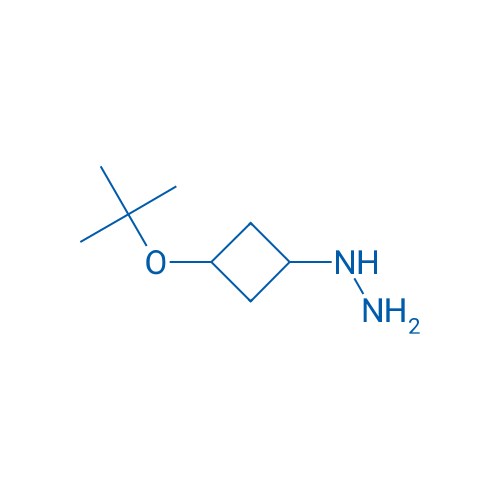 [3-(tert-Butoxy)cyclobutyl]hydrazine 1g