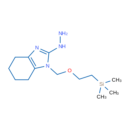 2-Hydrazinyl-1-{[2-(trimethylsilyl)ethoxy]methyl}-4,5,6,7-tetrahydro-1H-1,3-benzodiazole 1g