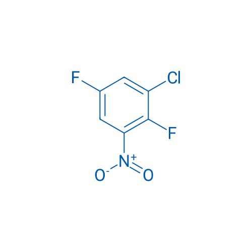 1-Chloro-2,5-difluoro-3-nitrobenzene 25g