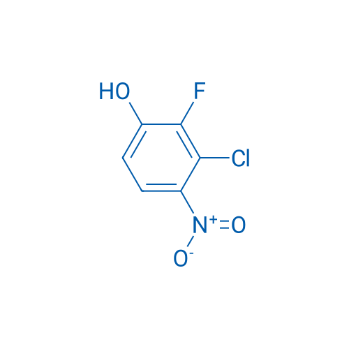 3-Chloro-2-fluoro-4-nitrophenol 250mg